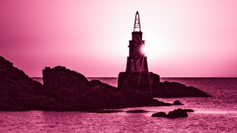 Three travel "Viva Magentas"