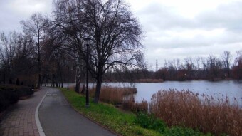 Beautiful spring day in December, keep it up - My Actifit Report Card: December 17, 2024