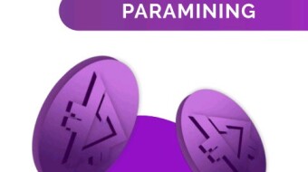 PRiZM ParaMining