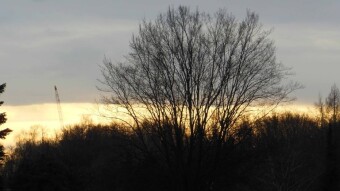Today spring is in retreat, snow has appeared - My Actifit Report Card: January 2, 2025