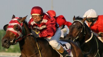 Follow The Tipster #4