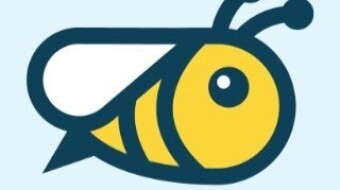 Honeygain will pay for your unused internet traffic: one year after