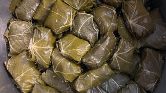 Foodbook #1010 dolmades