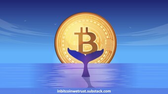 Mr. Whale Accuses Michael J. Saylor of Selling His Bitcoin in Secret – A Few Things for You To Judge Who the Liar Is Here.
