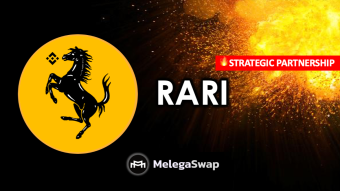 RARI Joins Forces With MelegaSwap. What’s in Store for Investors?