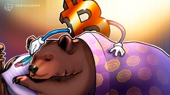 The Fate of Bitcoin and Dogecoin