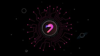 Flamingo Finance: A Vivid DeFi Bird to Watch