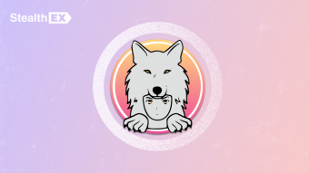 What Is SAITAMA Inu Coin? Where To Buy Saitama Inu Crypto? Saitama Inu Price Prediction 