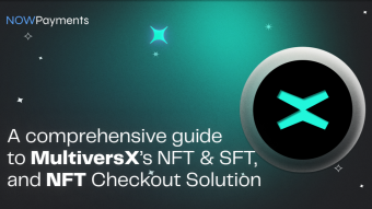 A Comprehensive Guide to MultiversX’s NFTs, SFTs, and NFT Checkout Solution by NOWPayments