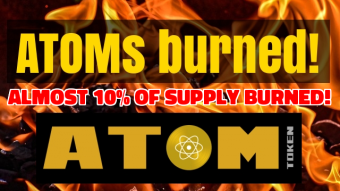 New Year PURGE! - 885,409 ATOMs Burned, 2020 Supply Minted