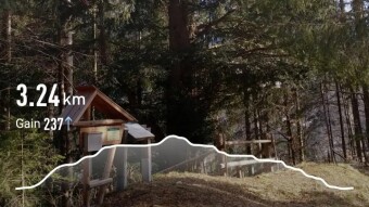 Tisa trail with Puma