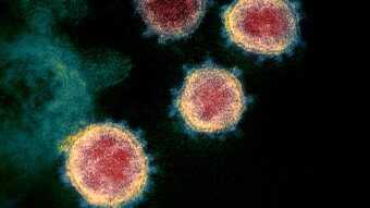 16 Million People Quarantined in Northern Italy