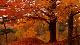 Autumn-Equinox Folklore