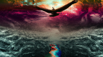 " I, a fowl of feathers "