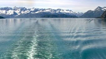 Swimming in the Ocean of Data