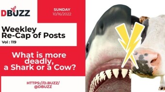 Recap of this Week's Posts by D.Buzz Vol.119