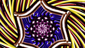 Flower abstract art.