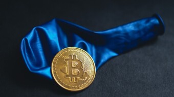 Teenage Mutant Fickle Cryptos