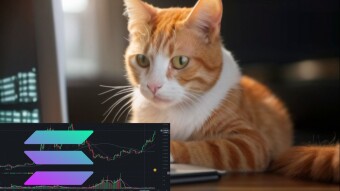 Is Solana About to Crash?