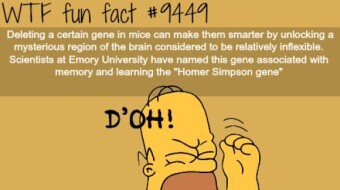 Important Knowledge Only 2% of people Know.