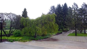 It looked good, but it's still rainy and ugly - My Actifit Report Card: May 18 2023