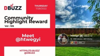 D.Buzz Community Highlight: @htwegyi