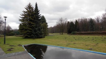 Windy and rainy - classic early spring - My Actifit Report Card: February 19 2023