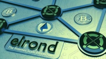 CryptoBUY: Elrond the flying eGold?