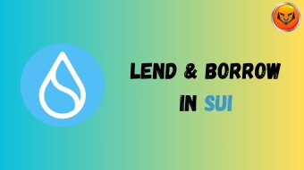 Lending & Borrowing in SUI DeFi