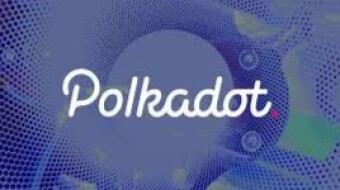 Sharded Parachain Ecosystems Close to Reality (POLKADOT/ACALA NETWORK)