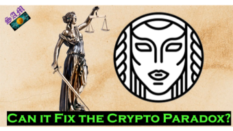 Idena: Can it Solve the Crypto Paradox?