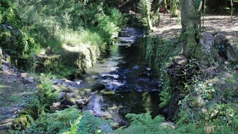Trip to Azenha Virgin Forest #1 - S.Justa Valongo | Portugal