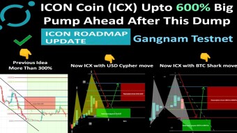 ICON Coin (ICX) Upto 600% Big Pump Ahead After This Dump | ICON Roadmap Update | Gangnam Testnet