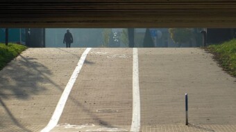 Fog makes photography difficult, but some objects look interesting - My Actifit Report Card: November 14 2022