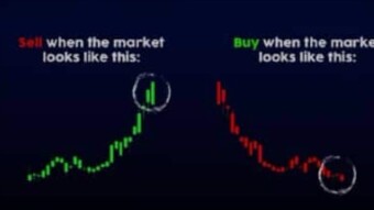 New or Old Investor in the Cryptospace? Coins to look out for; All you need to know!