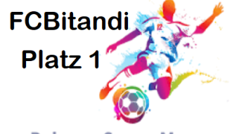 @rabona on Hive Blockchain - Platz 1 , Saison 23 , 2. Liga -/-/- place 1 , season 23 , leaque 2 -- (DEU-ENG)