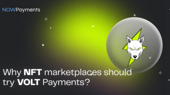 Why NFT Marketplaces Should Try VOLT Payments?