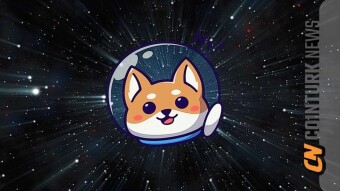 Shiba Inu (SHIB) Witnesses Significant Price Surge Despite Decreased Burn Rate