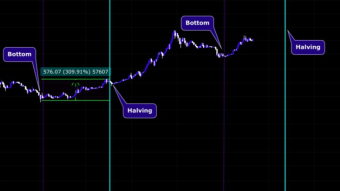 Bitcoin Price and Halving Guide