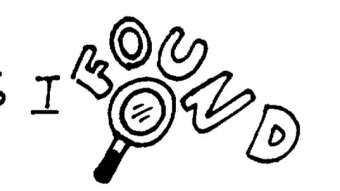 Understanding the SPLINTERLANDS Rental Market pt 1