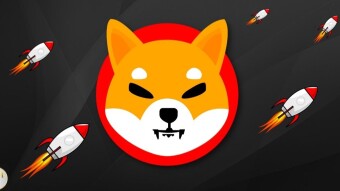 Dejen trabajar a Shiba Inu