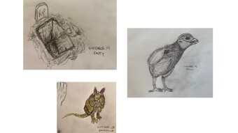 Inktober 14-16: Empty, Armadillo, Fowl