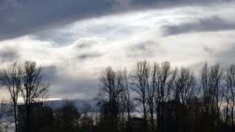 February is coming, get your boots on. Will winter come back? - My Actifit Report Card: January 31, 2025