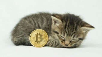 Is the soaring BTC a slightly better hedge against cash?
