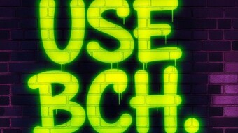 BCH: The True Path to Financial Independence