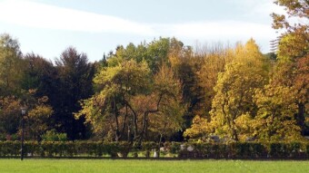 Return to old trails, walks in the park and around the pond - My Actifit Report Card: October 12 2023