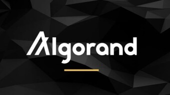Algorand Governance - Short video with voting