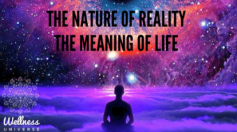 The Nature of Reality and The Meaning of Life