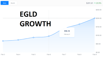 Elrond Growth