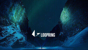Loopring Bi-Weekly Update — 03/02/2019